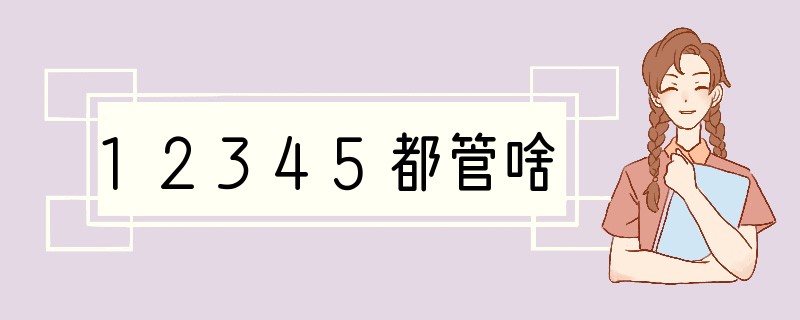 12345都管啥