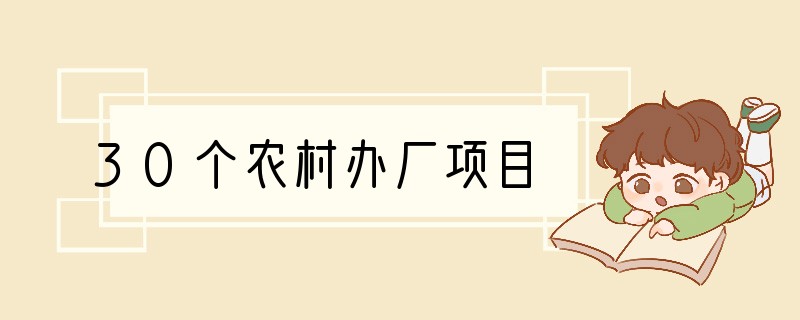 30个农村办厂项目