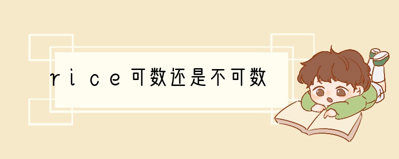 rice可数还是不可数
