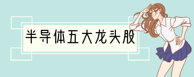 半导体五大龙头股