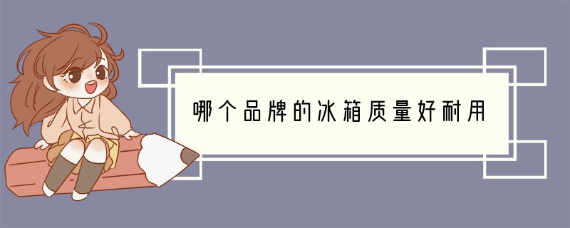 哪个品牌的冰箱质量好耐用