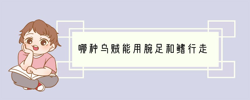 哪种乌贼能用腕足和鳍行走
