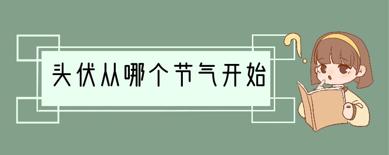 头伏从哪个节气开始