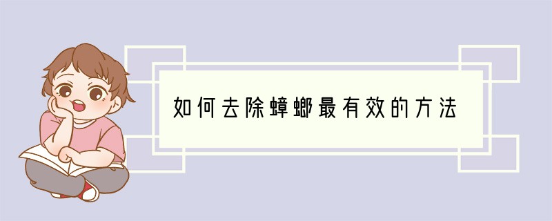 如何去除蟑螂最有效的方法
