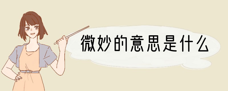 微妙的意思是什么