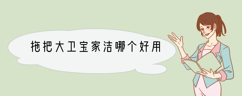 拖把大卫宝家洁哪个好用