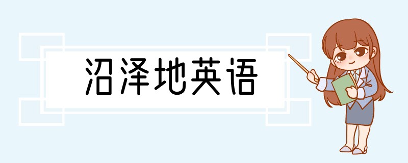 沼泽地英语