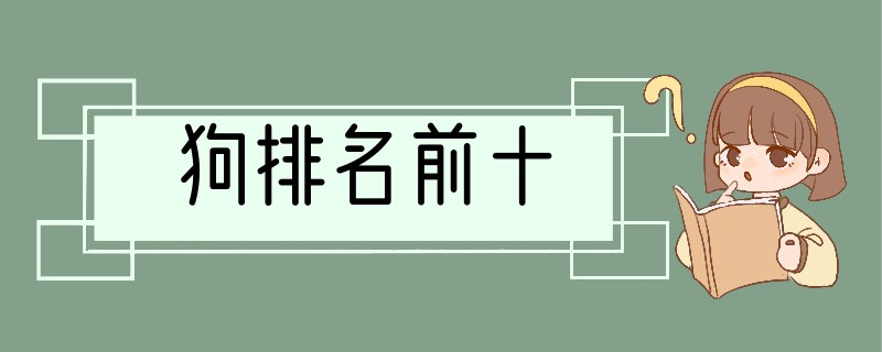 狗排名前十