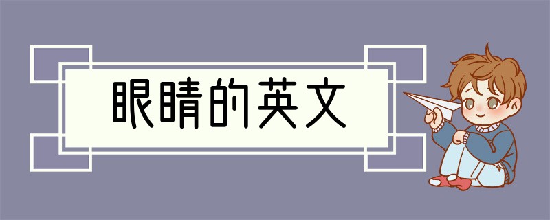 眼睛的英文