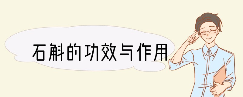 石斛的功效与作用