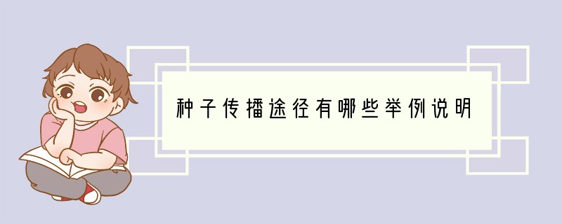种子传播途径有哪些?举例说明