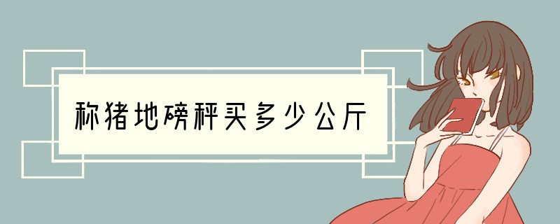 称猪地磅秤买多少公斤