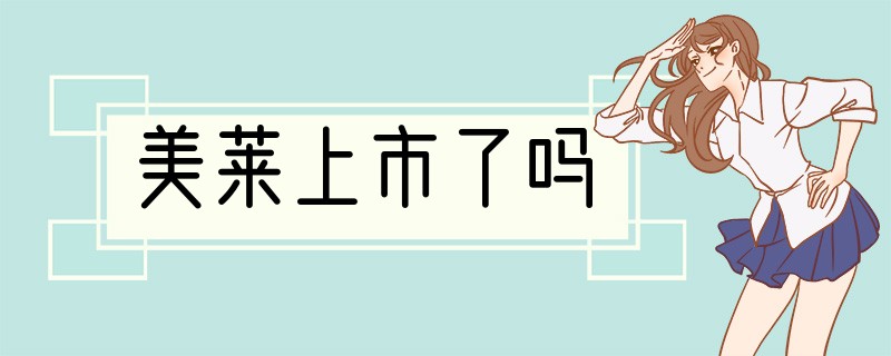 美莱上市了吗