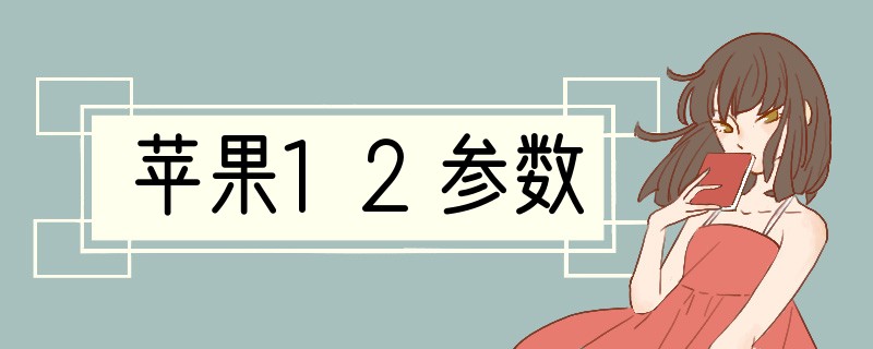 苹果12参数