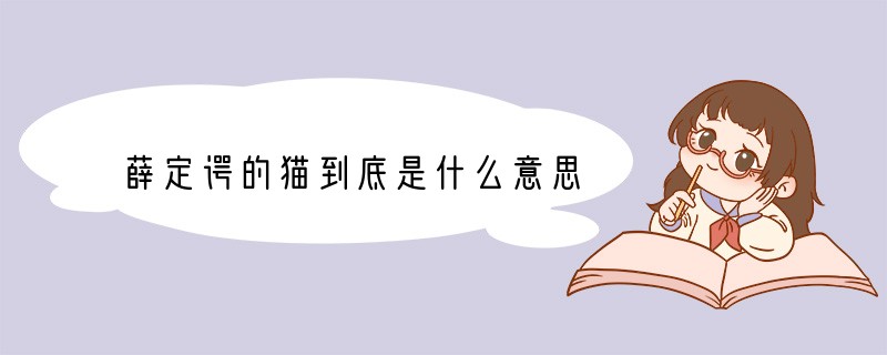 薛定谔的猫到底是什么意思
