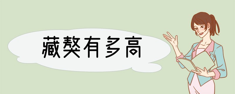 藏獒有多高