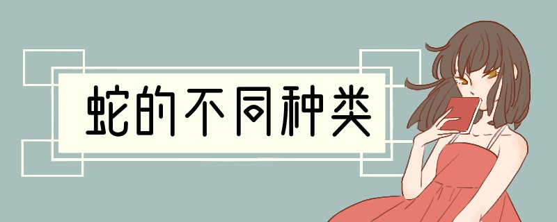 蛇的不同种类