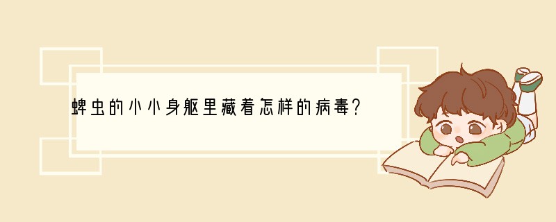 蜱虫的小小身躯里藏着怎样的病毒？