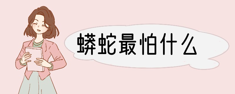 蟒蛇最怕什么