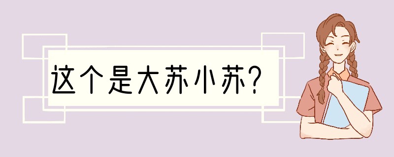 这个是大苏小苏？