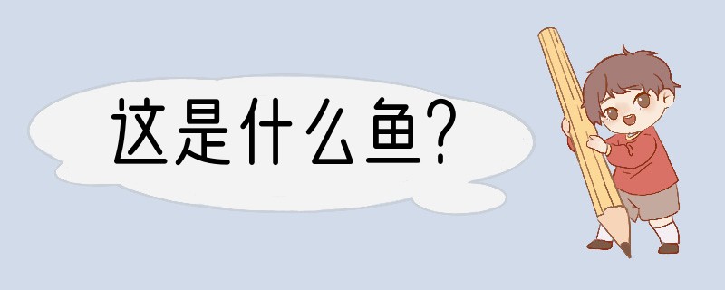这是什么鱼？