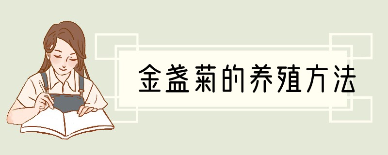 金盏菊的养殖方法