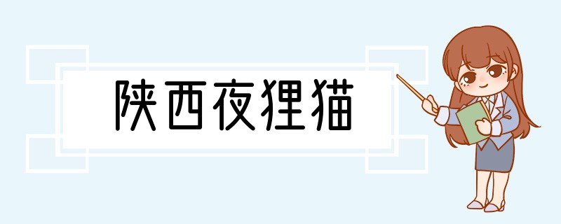 陕西夜狸猫