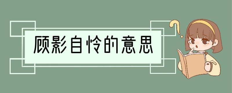 顾影自怜的意思
