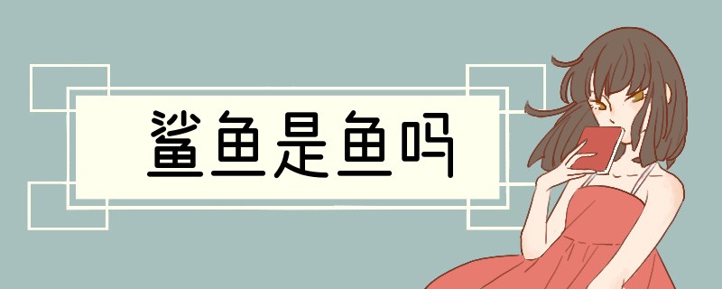 鲨鱼是鱼吗?